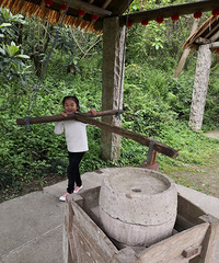 ����Ʊ��ѣ�С��Ʊ�룬��������ʱ���е��