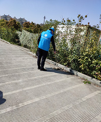 ��ÿ��һ�񡿵��������������