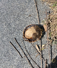 �������ġ����ڹ꣬����̫�ײ���