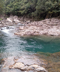 �����Ͼ���̶ͷ����̶ͷ��ˮ������ʹ���쳴�Ͷ