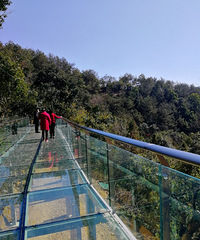 ����ɽ�����������������ɫ�ľ�����ɭ�����ζ�