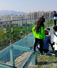 ����ɽ�����������������ɫ�ľ�����ɭ�����ζ�