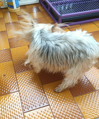 �ҹ�-Լ����