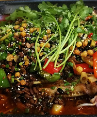 ζ��������������Ƚ�����