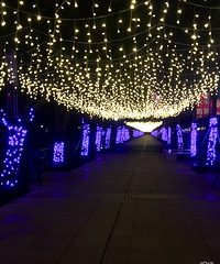 ����㳡����·�򿨣�ҹ�����Ǻܲ����ģ�ҹ��ɢ���õط���