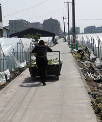 �������ġ������ֹϣ�����Ҳ�������