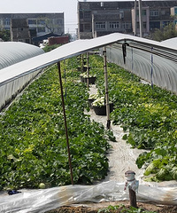 �������ġ������ֹϣ�����Ҳ�������