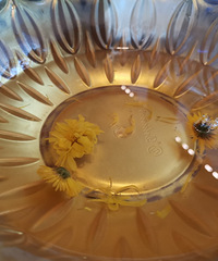 108��˫�˿�Ѽ�ײͣ�ͦ����ģ�Ѽ�ܺ���ܺó�