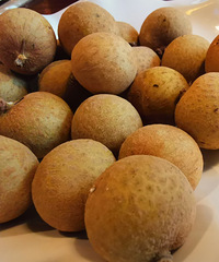 108��˫�˿�Ѽ�ײͣ�ͦ����ģ�Ѽ�ܺ���ܺó�