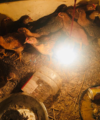 �������ġ�����С���ޣ������˲���