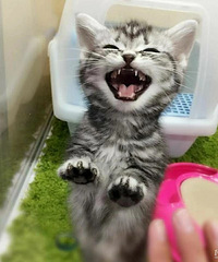 ���۸��᡿��������������¸���ô����