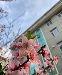 ���۸��᡿���������ûӰ�����Ŀ�֧