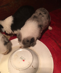 ��������