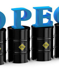 [��]�����ͼ������µ�����Ͱ��û��׬Ǯ�������������