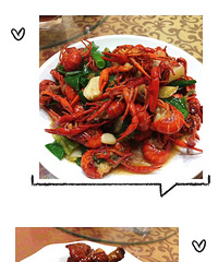 ���ŷ��ɽ��ҹ����ʼ��