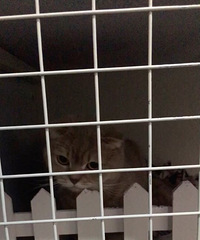 ë������������