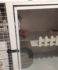 ë������������