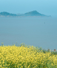 ������ص�С��