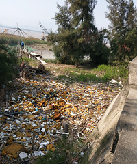 �������ġ�����ʲô���صĶ�����