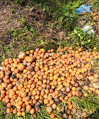 �������ġ��ý�����ͷ����ô������