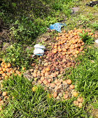 �������ġ��ý�����ͷ����ô������