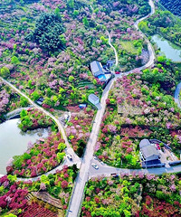 ��ը��������ɽ10000Ķ��ӣ����ʢ��������ӭ����ѹ����ڣ�