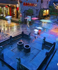 ����Ľ��ϣ��ų��ٺ�������ʫ�黭��