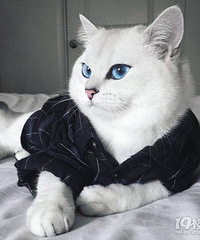 ��ƶ�����ͽ�ء��쳽��ξ����ĸ��ȽϺ�