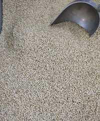 �������ġ���֥�飬һ��Ǯһ�ֻ�