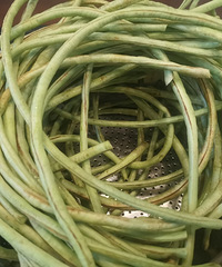 �ᶹ�ǣ���Ҫ�̵��ᶹ�Ǹ�����ó�һ��