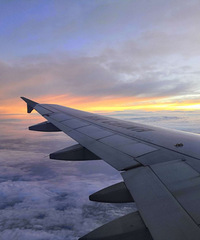 �����ŵ��ƺ���Ⱦ������Ĳ��ƣ���ȼ�����������˵���