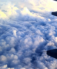 �����ŵ��ƺ���Ⱦ������Ĳ��ƣ���ȼ�����������˵���