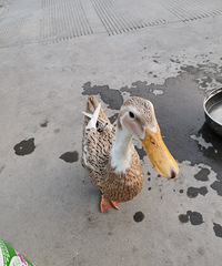 �������ġ�ιС����Ϻ�����������Ѽ����������Ǯ��