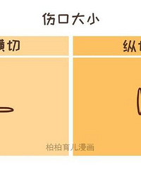 �ʸ������к�������ʲô���𣿶Ա�������������ַ�ʽ�ã�