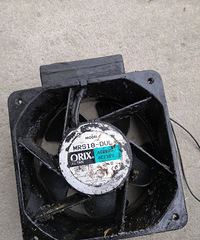 �������ġ������ŷ��ȼ������껵һֻ����Ҳ�����Ž��ڵ����