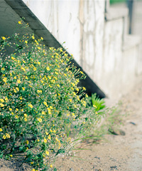 ��Ҫ���˺��ӣ��Ӵ��Ժ󲻻��ٺ�����ϵ