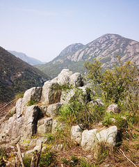 �ٺ����ž��㣬���˲��࣬��ɽʯͦ�࣬ͦ�ÿ���