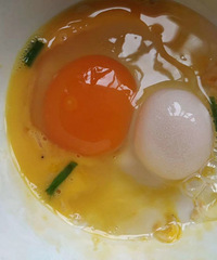 �������ġ�����˫�Ƶ���һ��һ��