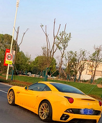 ɧ��ɫ������