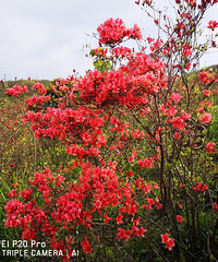 ����������̫���� ��ˮ��ɽ�һ���