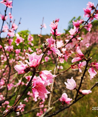 ����������̫���� ��ˮ��ɽ�һ���