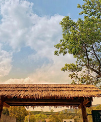 ���ϻ��ѿ����ʺ��С��