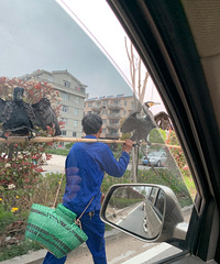 �������ġ���˲���ϡ������