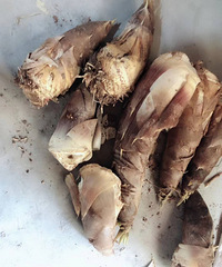 �������ġ�������������������ͣ�������26�