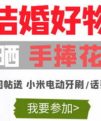 ɹ����Ľ�������� ������С�׵綯��ˢ/����