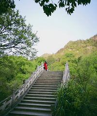 ����Ʊ���������ԭ��ֻ�Ǵ���Ʊ��Ѷ���