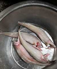 �������ġ�һ��ˮ����Ԫ�࣬����̯��˵���ӹ��ٹ�����Բ�����