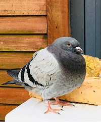 ���۸��᡿��Ů���׵�һ�μ����ǣ�֣�������