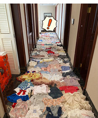 ���������ԡ�Ů���������꣬�·������Ѿ���������