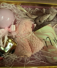 ��ɹ������+�������ĵ�����